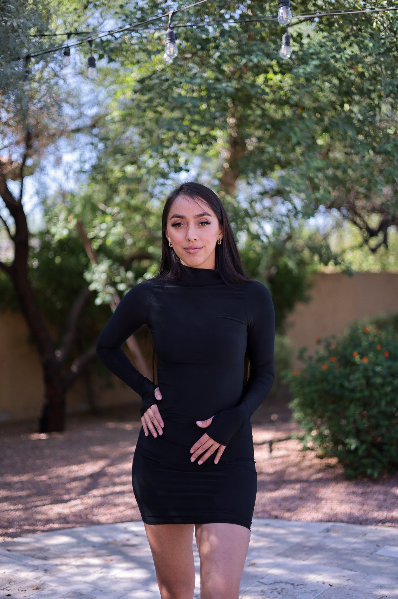 Black - Double Lined Mock Neck Dress