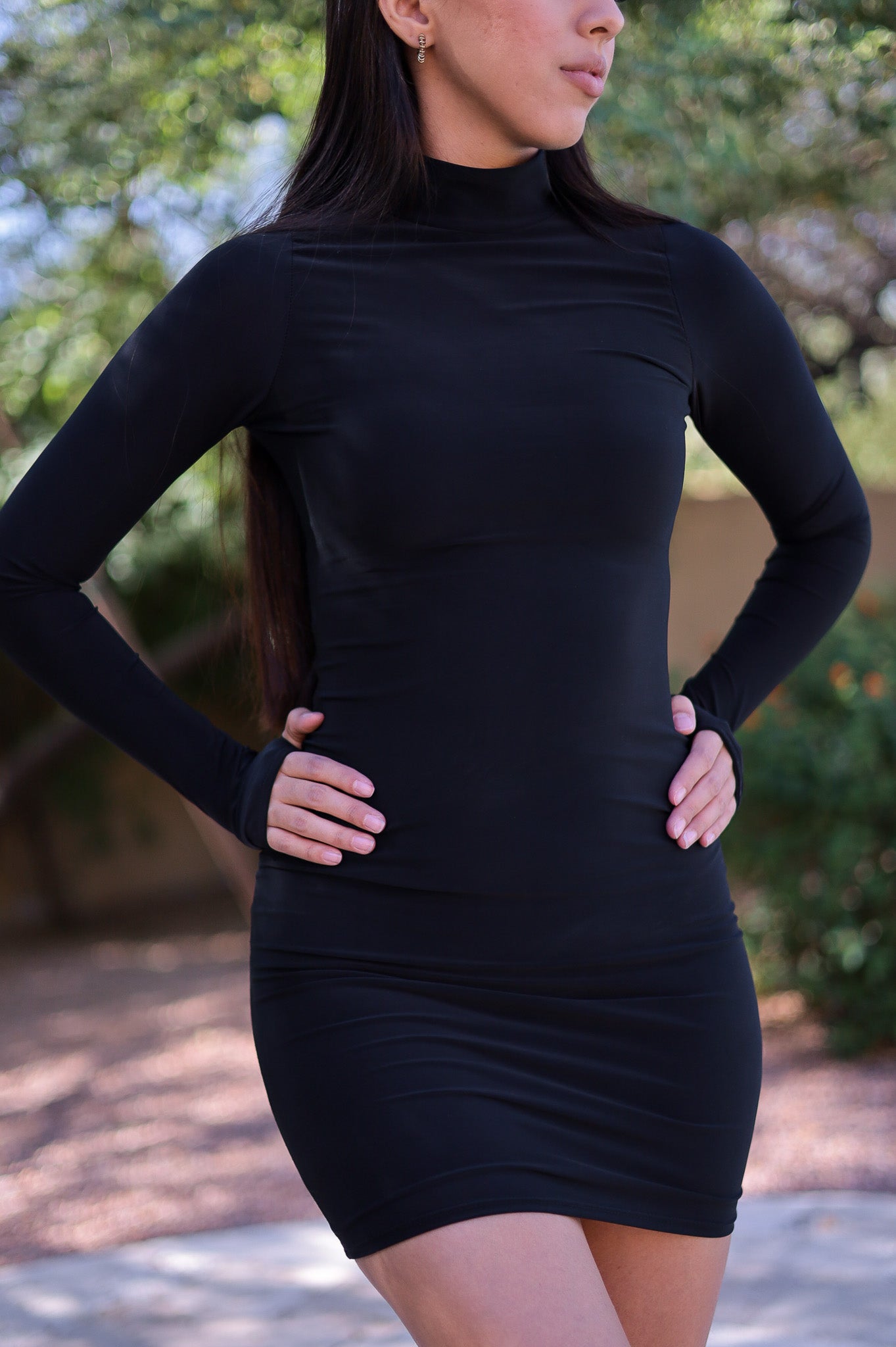Black - Double Lined Mock Neck Dress