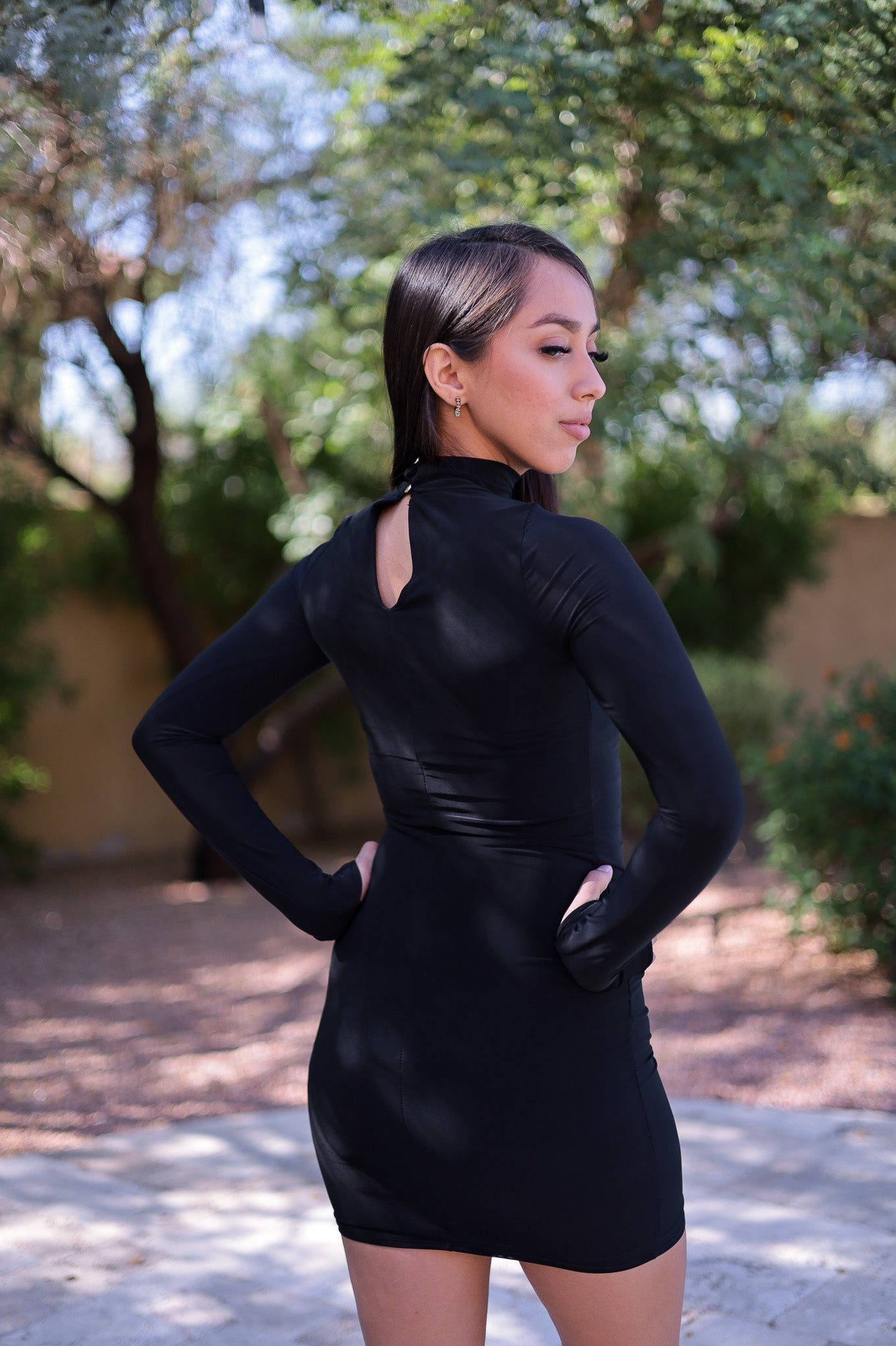 Black - Double Lined Mock Neck Dress