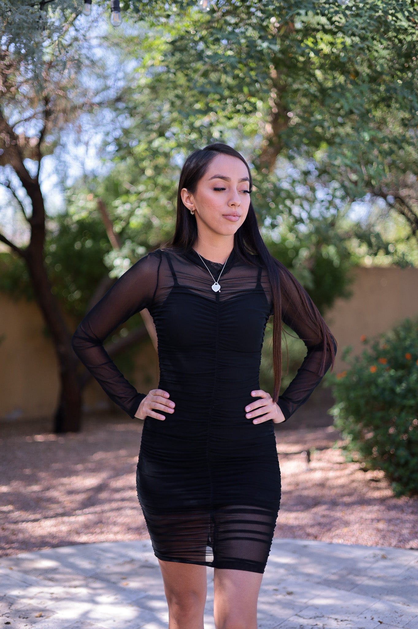 Black - Mesh Bodycon Dress