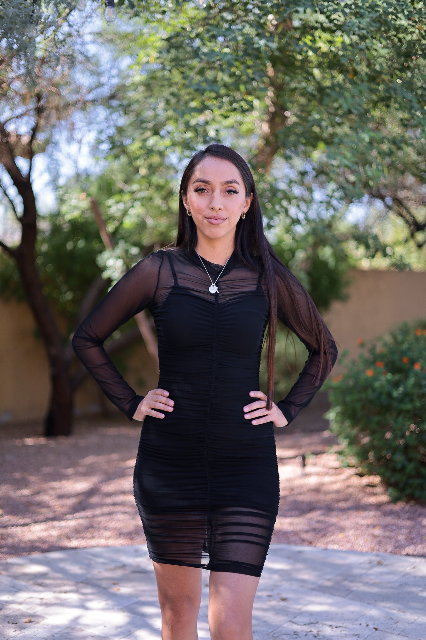 Black - Mesh Bodycon Dress