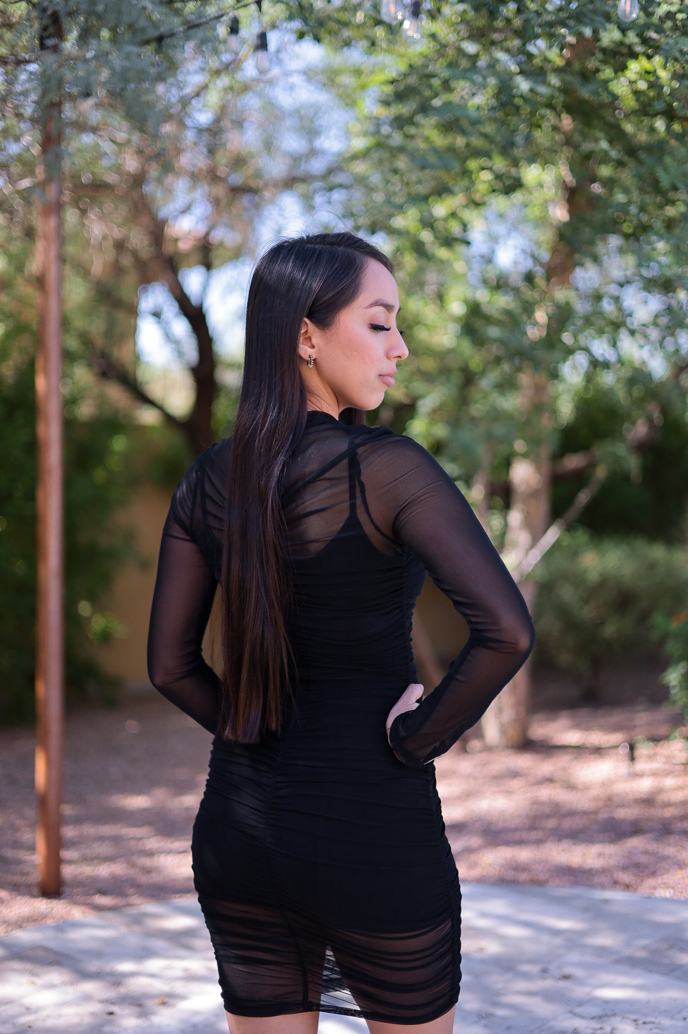 Black - Mesh Bodycon Dress