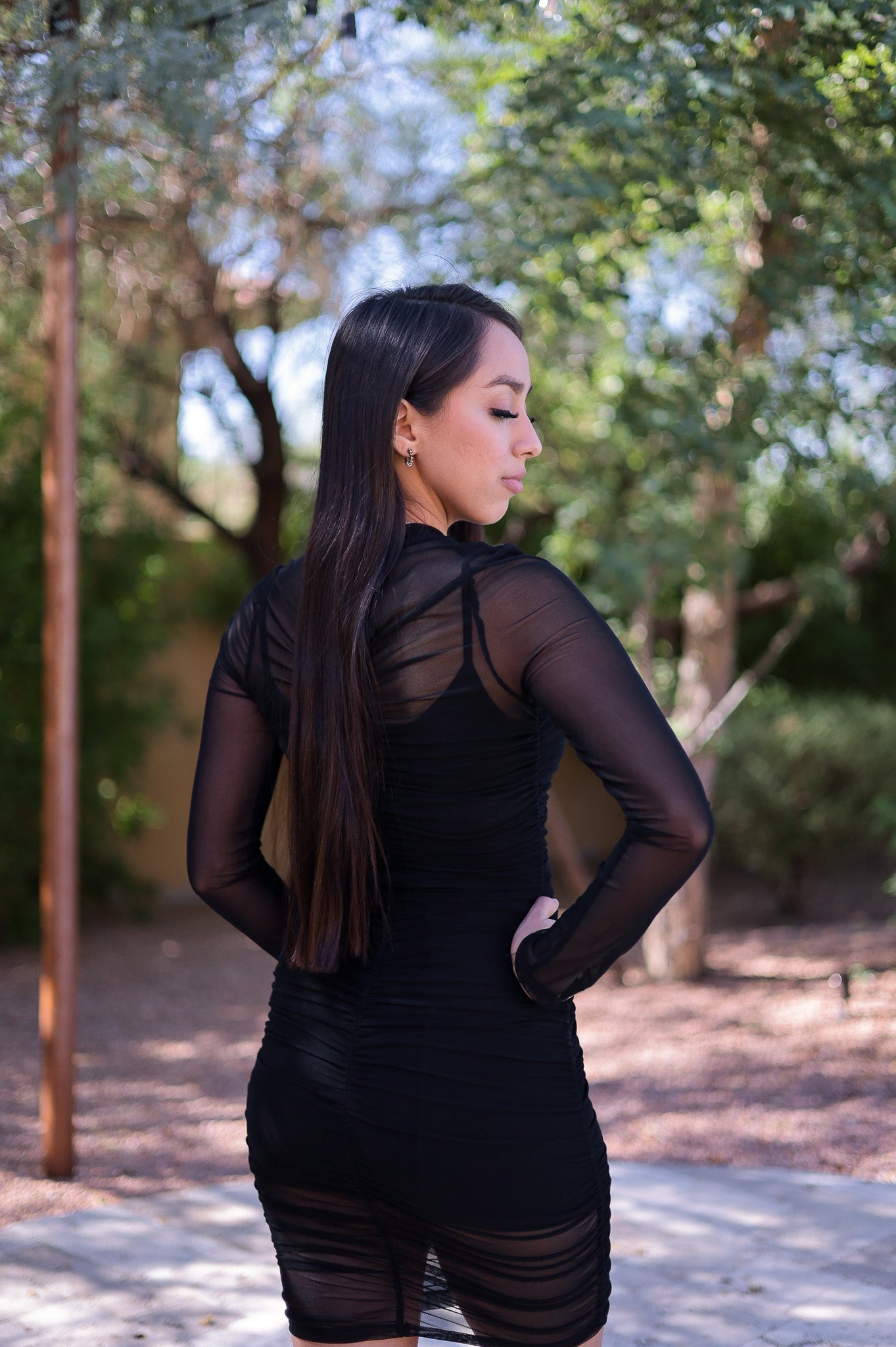 Black - Mesh Bodycon Dress
