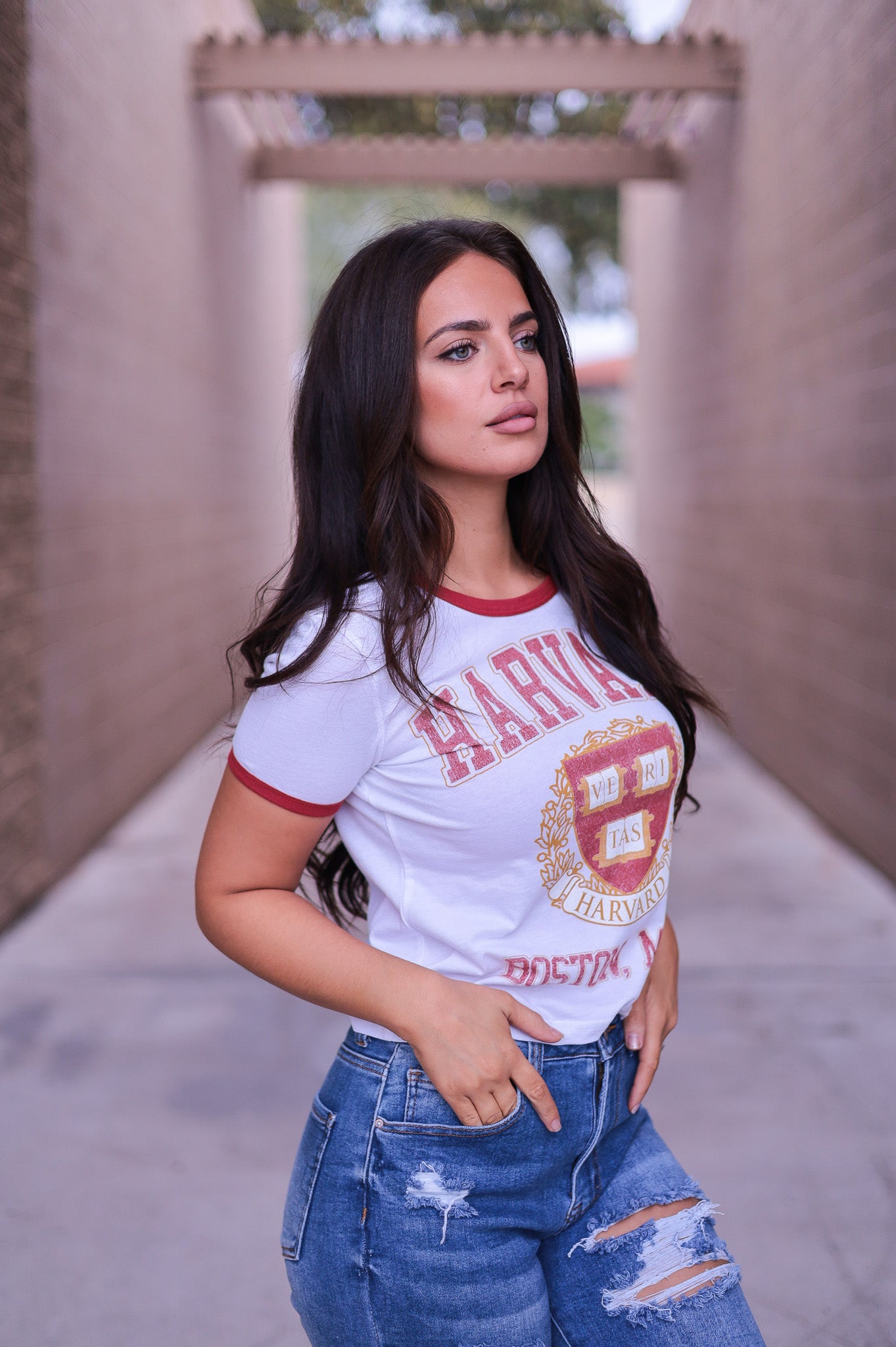 Harvard Vintage Cropped Tee
