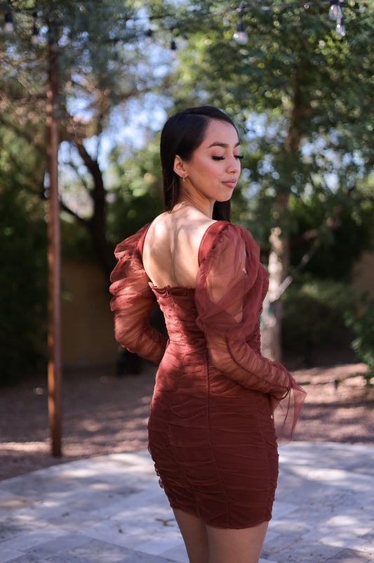 Brown - Sheer Sleeves Ruched Impressed Dress