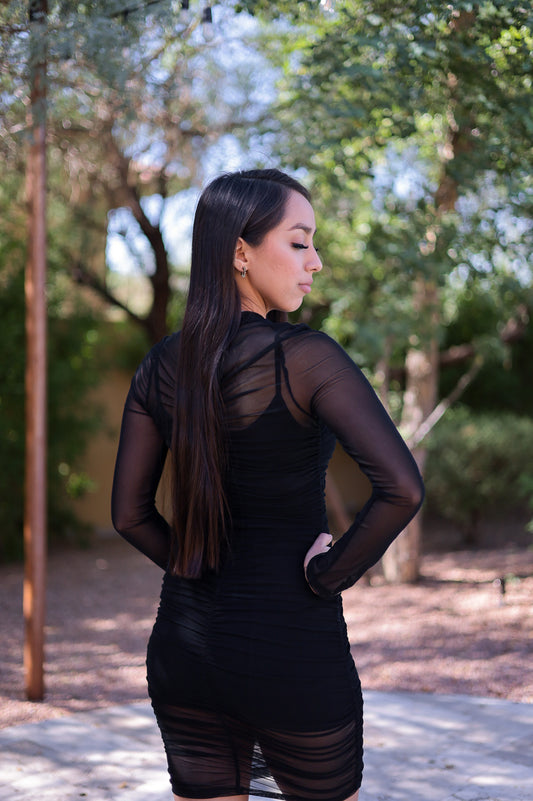 Black - Mesh Bodycon Dress